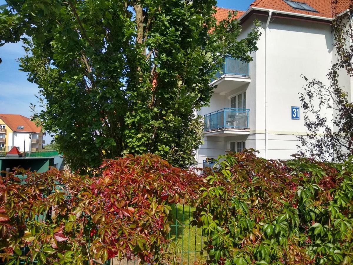 Green Apartment Z Bezplatnym Parkingiem ออลชติน ภายนอก รูปภาพ